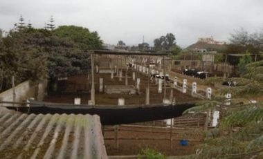 OCASIÓN LURÍN TERRENO CERCADO DE 6,000m2, IDEAL PARA ESTABLO O CRIANZA DE ANIMALES