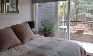 PUCON Dpto 1D 1B con vista al volcán en Condominio Payllahue COD.DP0171