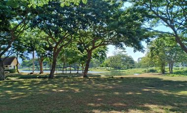 Lakeside Lot for Sale in Tiaong, Quezon