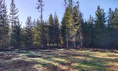 PARCELA ROL UNICO - FACTIBILIDAD DE LUZ Y AGUA - SEXTA REGION
