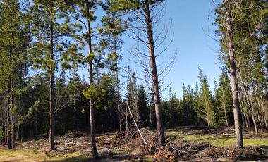 PARCELA ROL UNICO - FACTIBILIDAD DE LUZ Y AGUA - SEXTA REGION