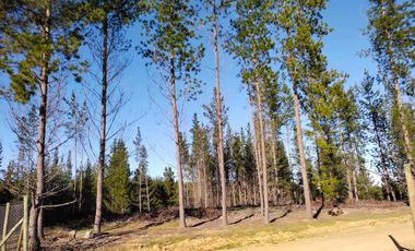 PARCELA ROL UNICO - FACTIBILIDAD DE LUZ Y AGUA - SEXTA REGION