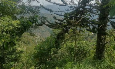 Venta Finca Agrícola y Ganadera Santa Bárbara Antioquia