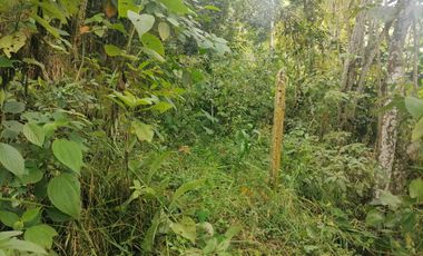 Venta Finca Agrícola y Ganadera Santa Bárbara Antioquia