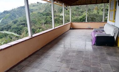 Venta Finca Agrícola y Ganadera Santa Bárbara Antioquia