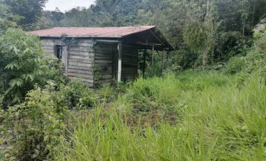 Venta Finca Agrícola y Ganadera Santa Bárbara Antioquia