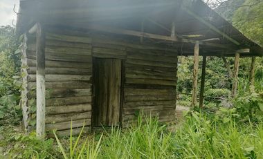 Venta Finca Agrícola y Ganadera Santa Bárbara Antioquia