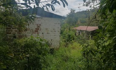 Venta Finca Agrícola y Ganadera Santa Bárbara Antioquia