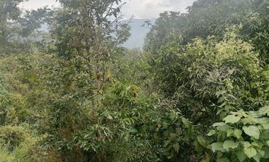 Venta Finca Agrícola y Ganadera Santa Bárbara Antioquia