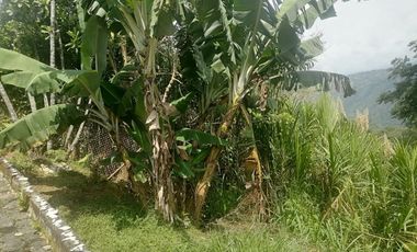 Venta Finca Agrícola y Ganadera Santa Bárbara Antioquia