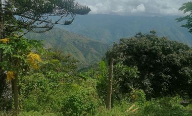 Venta Finca Agrícola y Ganadera Santa Bárbara Antioquia