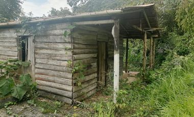 Venta Finca Agrícola y Ganadera Santa Bárbara Antioquia