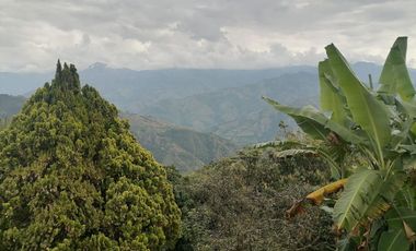 Venta Finca Agrícola y Ganadera Santa Bárbara Antioquia
