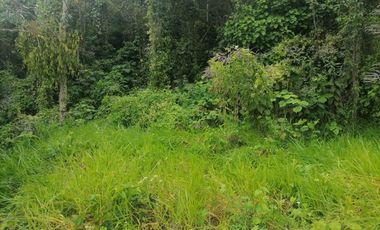 Venta Finca Agrícola y Ganadera Santa Bárbara Antioquia