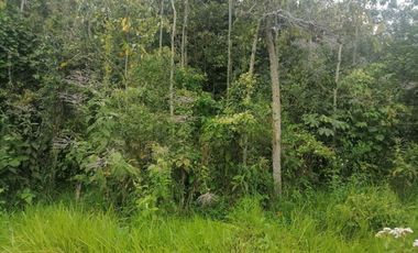 Venta Finca Agrícola y Ganadera Santa Bárbara Antioquia