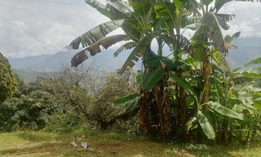 Venta Finca Agrícola y Ganadera Santa Bárbara Antioquia