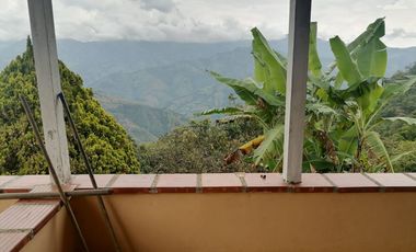 Venta Finca Agrícola y Ganadera Santa Bárbara Antioquia