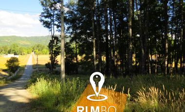 Parcela con Bosque nativo - Villarrica