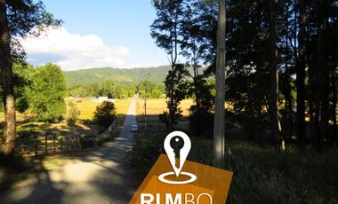 Parcela con Bosque nativo - Villarrica