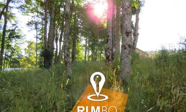 Parcela con Bosque nativo - Villarrica
