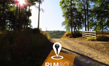 Parcela con Bosque nativo - Villarrica