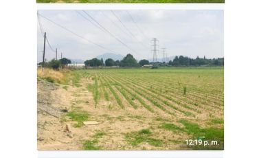 ,. GUADALAJARA ZAPOPAN JAL PLAZA ANDARES .VENTA TERRENO 29 HCTS.