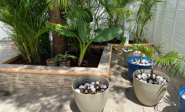 Hermoso departamento amueblado en renta a solo 4 cuadras del mar en Cozumel