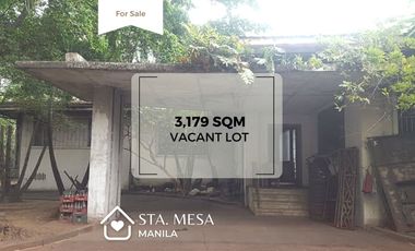 Sta. Mesa Residential/Commercial Lot for Sale!