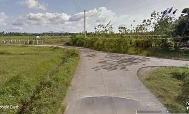 1 hectare poultry farm in Rosario Batangas