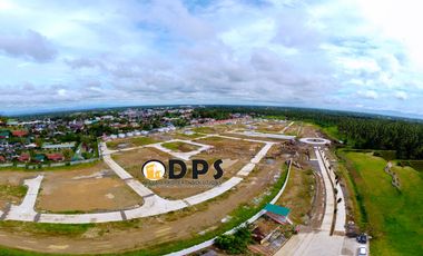 Ameria by Damosa Land Panabo Davao Del Norte