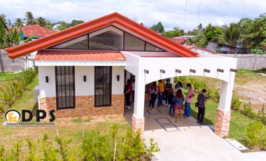 Ameria by Damosa Land Panabo Davao Del Norte