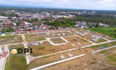 Ameria by Damosa Land Panabo Davao Del Norte