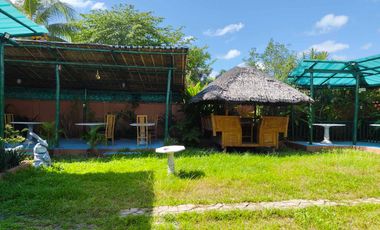 - NOT AVAILABLE - 3 BEDROOMS HOUSE AND LOT IN DAUIN NEGROS ORIENTAL