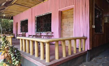 - NOT AVAILABLE - 3 BEDROOMS HOUSE AND LOT IN DAUIN NEGROS ORIENTAL