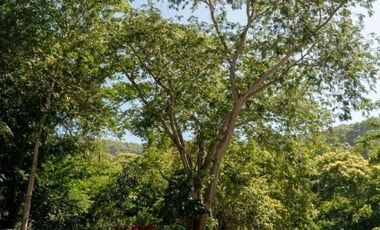 D219 Venta Departamento en Portalegre 3 recamaras y jaccuzy Contramar Ixtapa