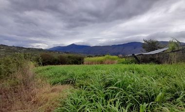 FINCA EN VILLA DE LEYVA MONQUIRA