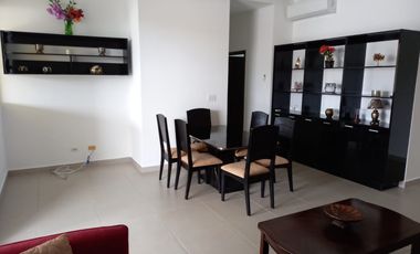 Kings Park Torre 300. 217mts 3r 3b amoblado terraza $255,000.00