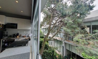 Renta Casa Tipo Townhouse AMUEBLADA 2 Habs. con Rooftop