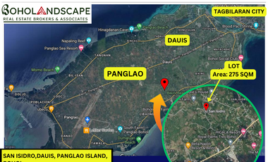 Lot for Sale located in San Isidro, Dauis, Panglao Island, Bohol