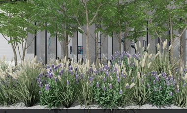 Bodega en renta en Nexitpac