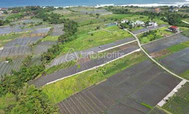 Prime Investment Opportunity, 1330 sqm Land in Belalang – Tabanan