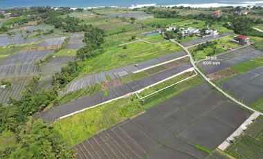Prime Investment Opportunity, 1330 sqm Land in Belalang – Tabanan