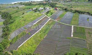 Prime Investment Opportunity, 1330 sqm Land in Belalang – Tabanan