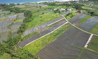 Prime Investment Opportunity, 1330 sqm Land in Belalang – Tabanan
