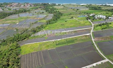 Prime Investment Opportunity, 1330 sqm Land in Belalang – Tabanan
