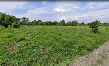 AGRICULTURAL LOT in Sariaya Quezon