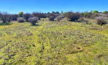 Venta hermosas parcelas en Villa Baviera en Bulnes