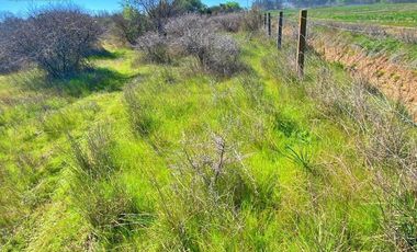 Venta hermosas parcelas en Villa Baviera en Bulnes