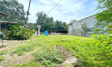 Lot for Sale in Dumaguete City