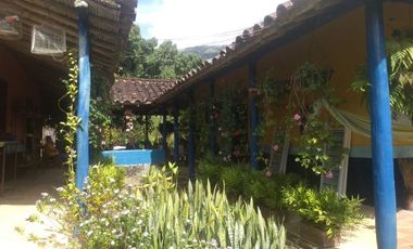 Vendo lote en San Jerónimo con plantación de mango Tomy